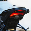 BMW S1000RR / S1000R / M1000R(R) Fender Eliminator Kit