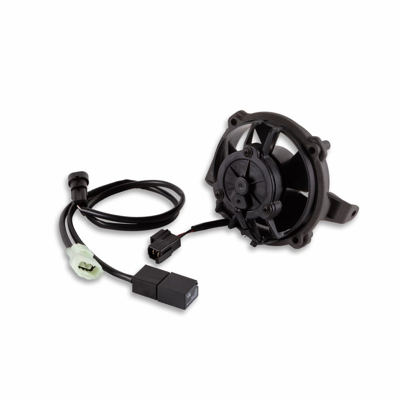 Radiator cooling fan.
