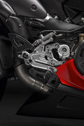 Adjustable Race rider footpegs.