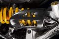 Carbon cover for rear shock absorber.