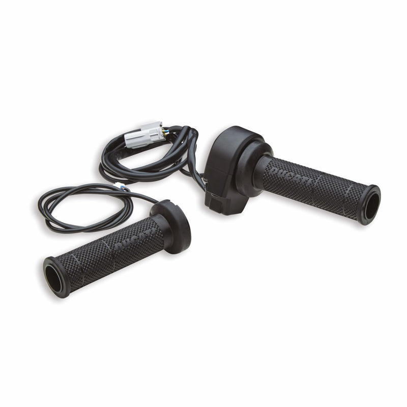 Heated handgrips.