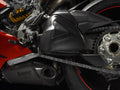 Carbon swingarm guard.