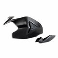Carbon swingarm guard.