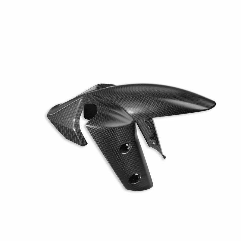Carbon front mudguard.