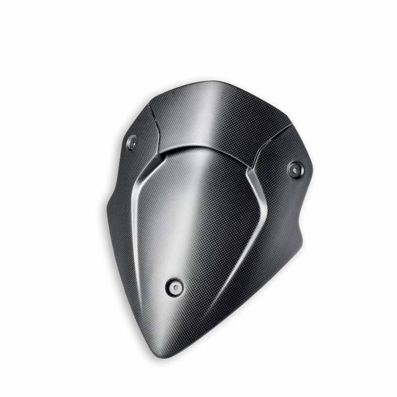 Carbon headlight fairing.