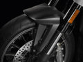 Carbon front mudguard.