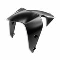 Carbon front mudguard.