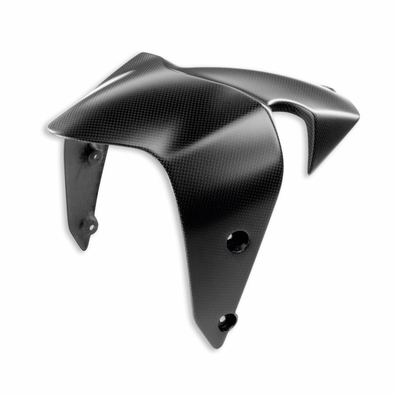 Carbon front mudguard.