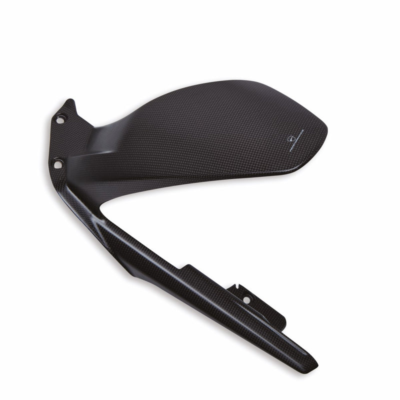 Carbon rear mudguard.