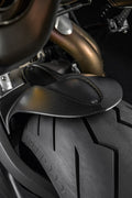 Carbon rear mudguard.