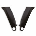 Carbon protections for frame.