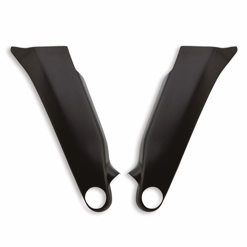 Carbon protections for frame.