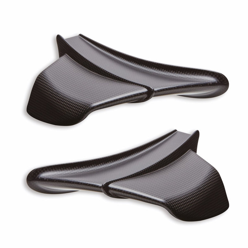 Pair of carbon wings.