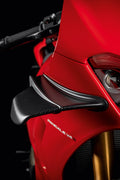Pair of carbon wings.