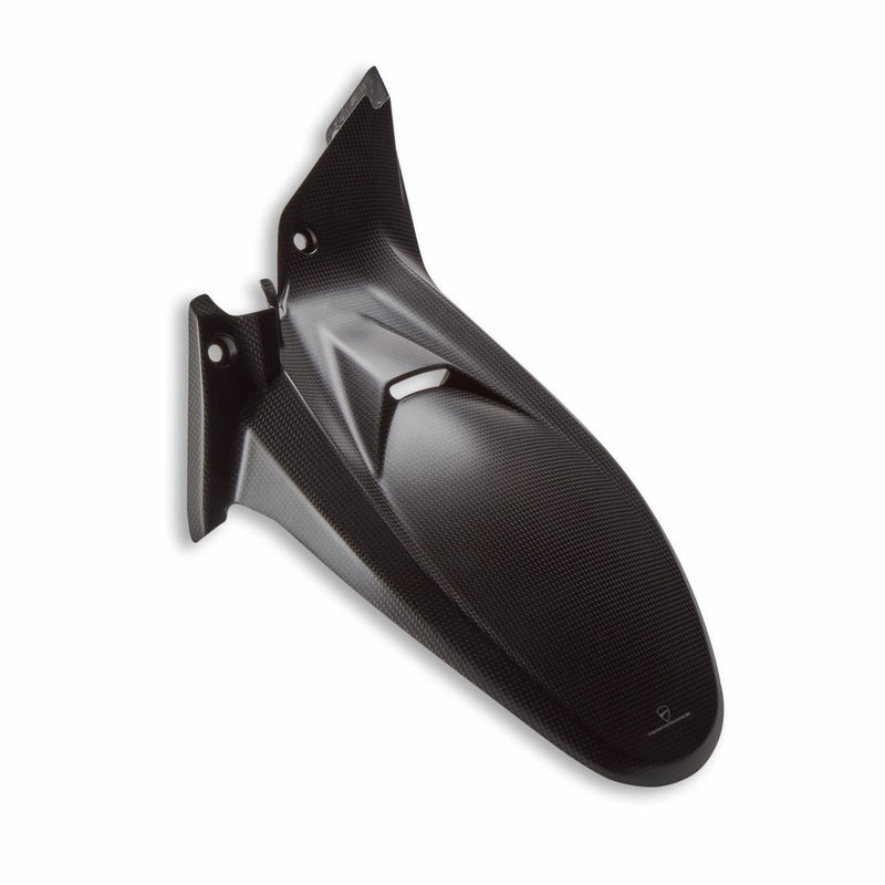 Carbon rear mudguard.
