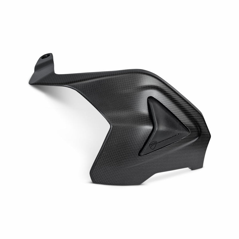Carbon swingarm guard.