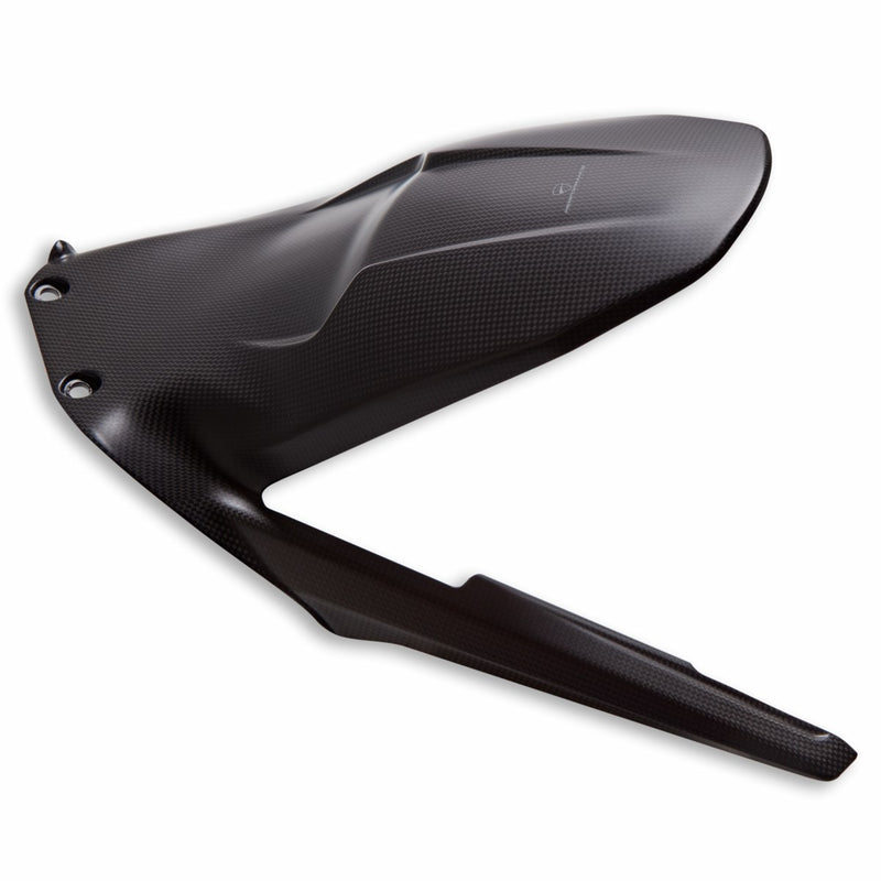 Carbon rear mudguard.