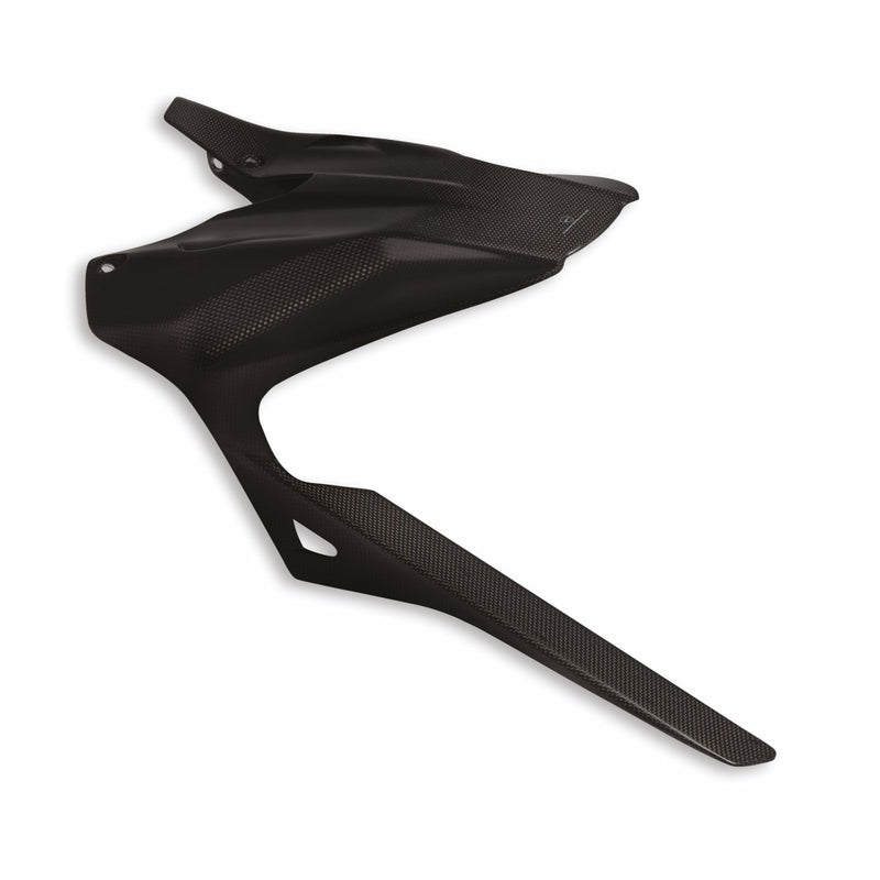 Carbon rear mudguard.