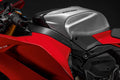Carbon protections for frame.