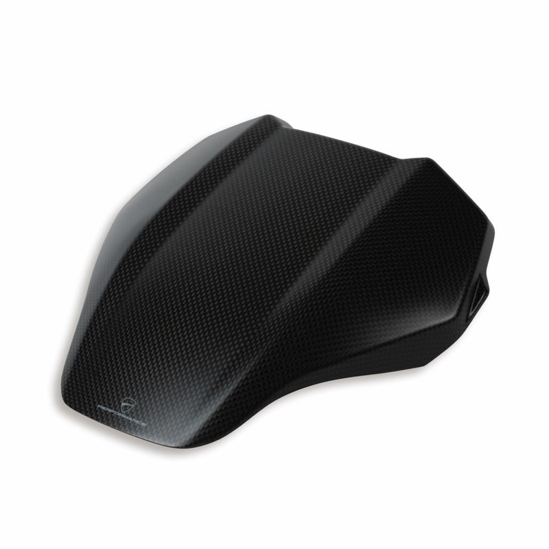 Carbon headlight fairing.