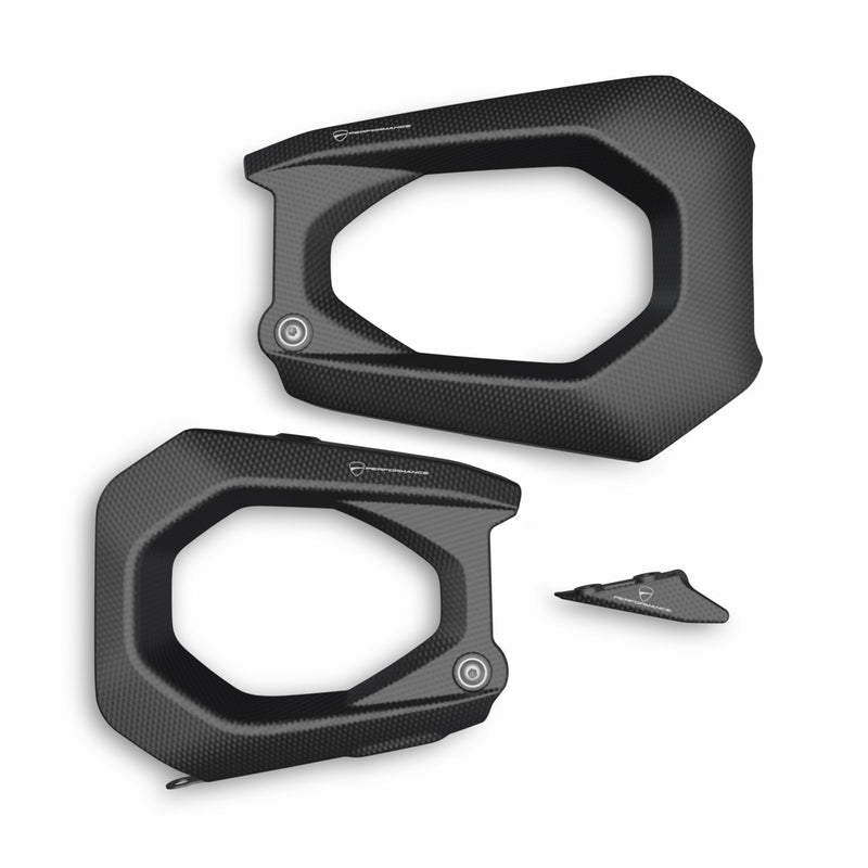 Carbon swingarm guard.