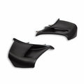 Pair of carbon wings.