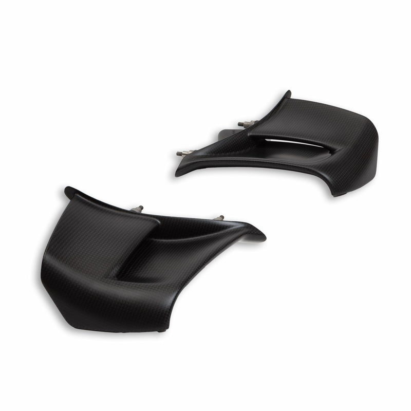 Pair of carbon wings.