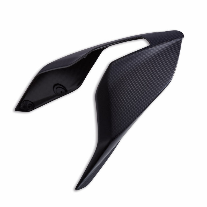 Carbon single-seater tail guard.