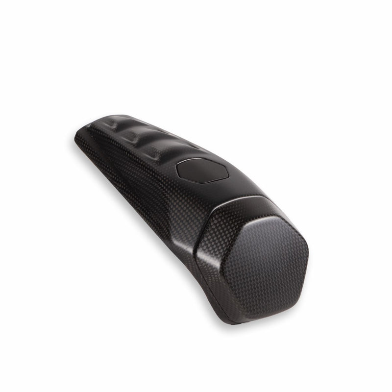 Carbon backrest for single-seater.