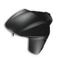 Carbon front mudguard.