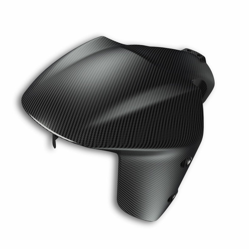 Carbon front mudguard.