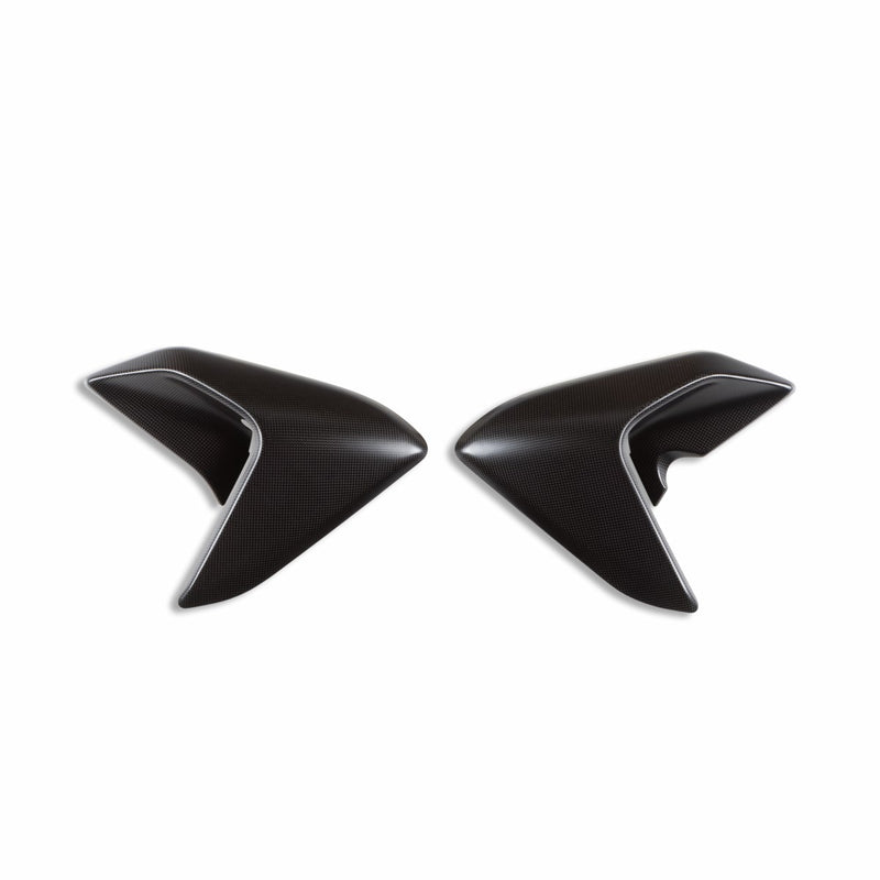 Carbon cover for water radiator.