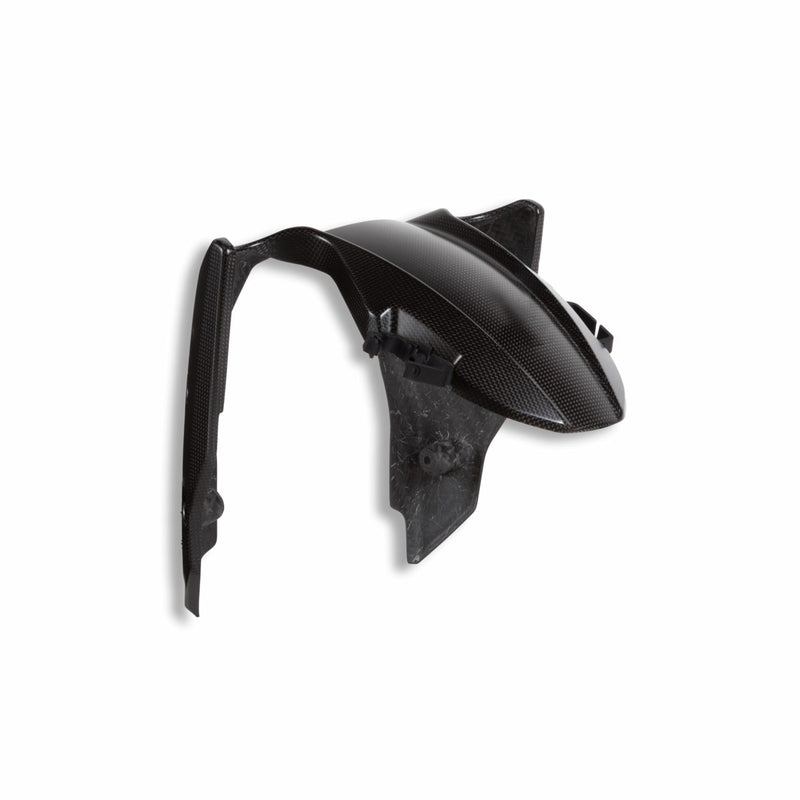 Carbon front mudguard.