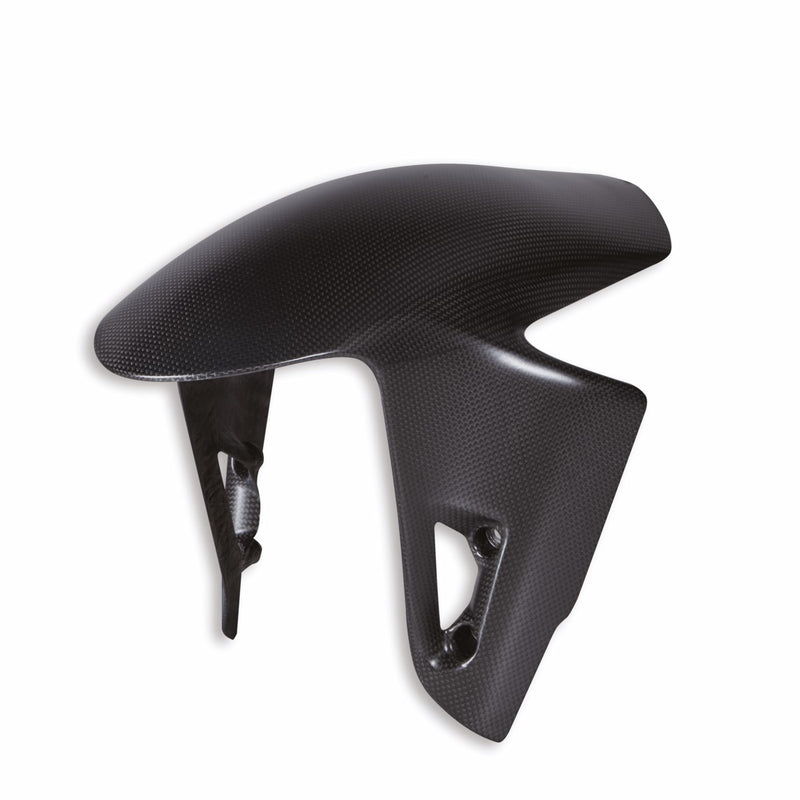 Carbon front mudguard.