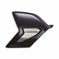 Carbon and titanium protection for swinging arm.