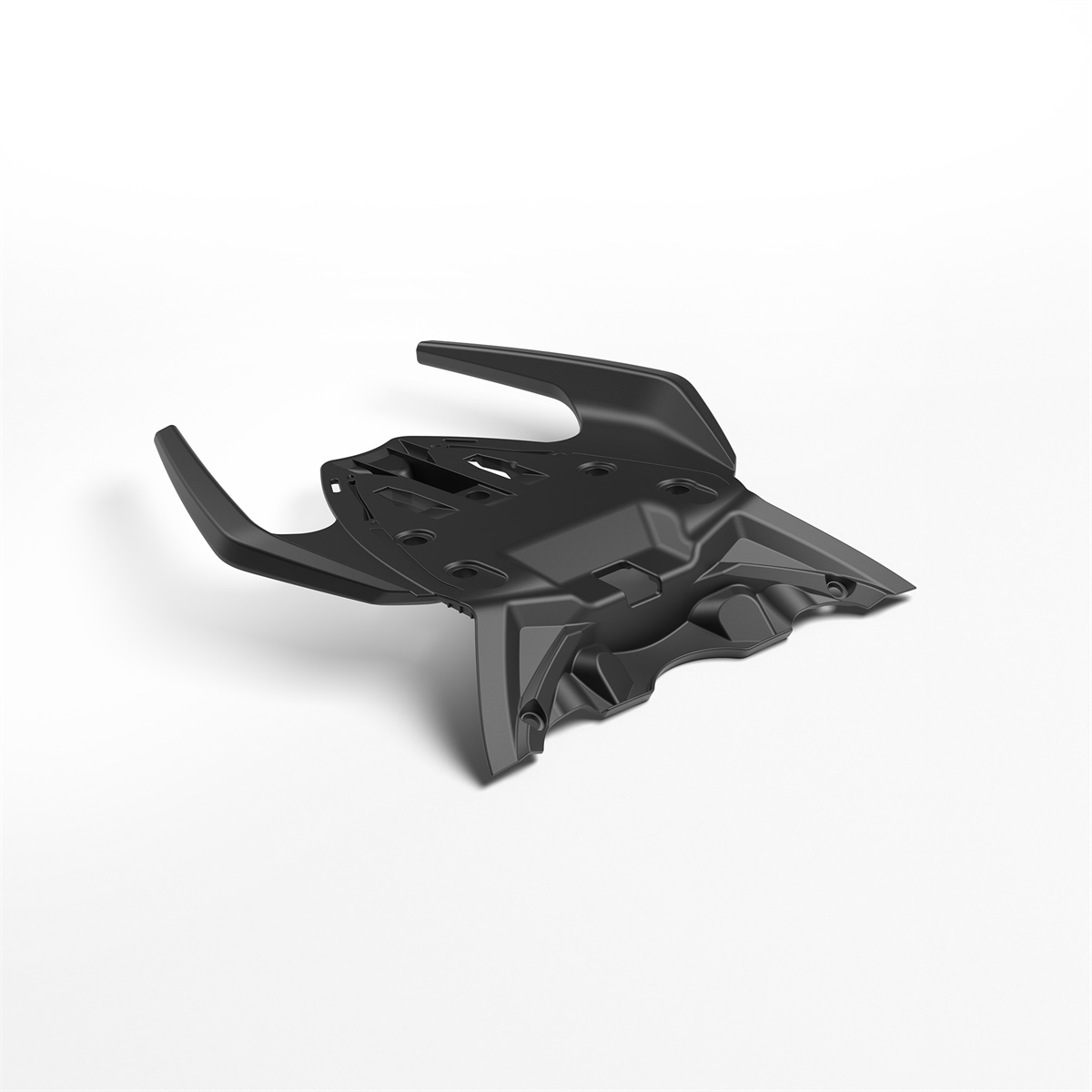 Passenger grab handles - SKIT2S002200