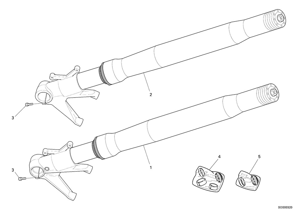 34520262C