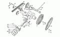 Timing system gear