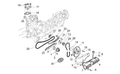 Oil pump gear