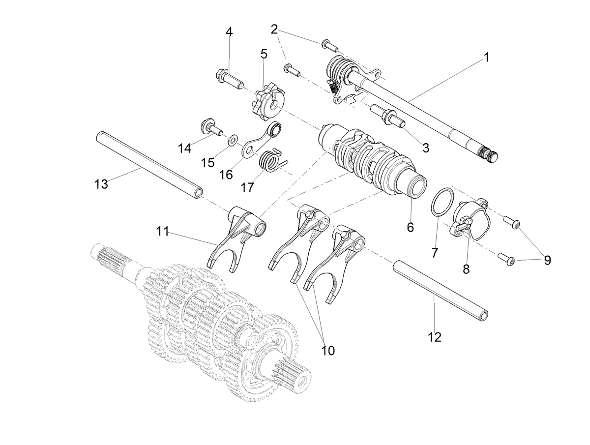 Selector shaft