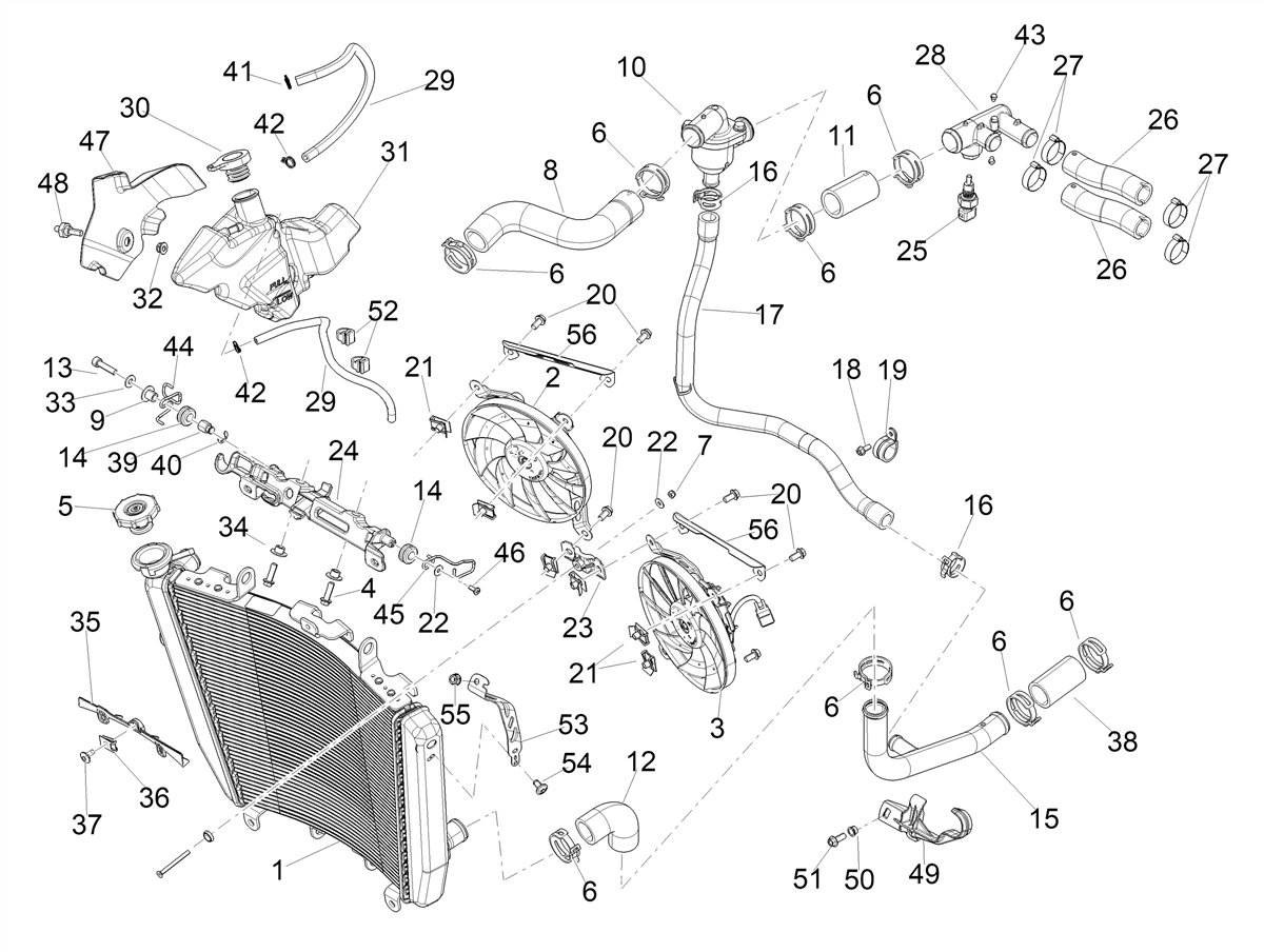 Rod