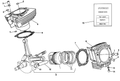 78610081A