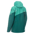 Rain Forest - FIr