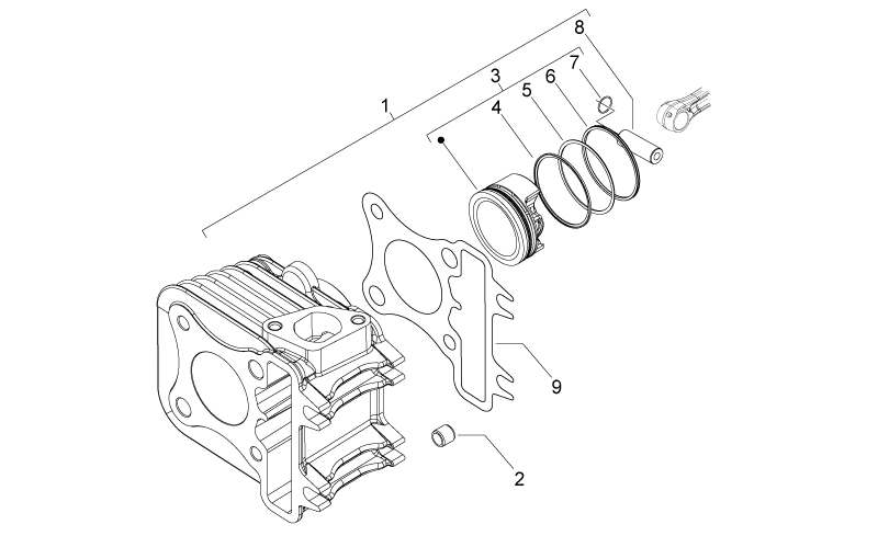 Piston assy Cat.C