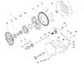 Adjuster screw