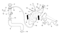 Oil plug gasket