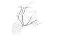 Rear brake transmission