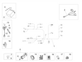 Bush