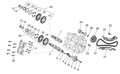 Nut M15x1 DX