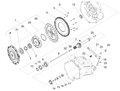 Driven clutch disc